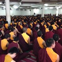 Photo: དེ་རིང་ཕྱི་ལོ་༢༠༡༣་༣་༡༩ ཉིན་གྱི་སྔ་དྲོའི་ཆུ་ཚོད་༨ པའི་སྟེང་གདན་ས་རྣམ་གྲོལ་དུ་སྔ་འགྱུར་མཐོ་སློབ་ཆེན་མོ་དང་མཚོ་རྒྱལ་བཤད་སྒྲུབ་གླིང་གི་བཤད་གྲ་གཉིས་ཀྱི་ལོ་འཁོར་རྒྱུགས་སྤྲོད་ཆེན་མོའི་ཨང་ཐོབ་ཤོག་ལྷེ་གནང་པའི་མཛད་སྒོ་ཐེངས་༣༥ པ་དེ་རྣམ་གླིང་ཆེས་མཐོའི་འགན་འཛིན་ལྷན་ཚོགས་དབུ་བཞུགས་ཐོག ཆོས་རིག་བཀའ་ཟུར་ཚེ་རིང་ཕུན་ཚོགས་དང་མཁན་སློབ་བདུན་ཅུ་ཡན་མན། དེ་བཞིན་འདུས་ཚོགས་ཉིས་སྟོང་ཙམ་མཉམ་ཞུགས་ཐོག་གནང་སོང་། ཐོག་མ་མཐོ་སློབ་ཆེན་མོའི་དྲུང་ཆེ་མཁན་པོ་འགྱུར་མེད་ཡེ་ཤེས་ནས་ལས་རིམ་ངོ་སྤྲོད་གནང་པ་དང་། རྒྱུགས་སྤྲོད་དོ་དམ་པ་མཁན་པོ་བཀྲ་ཤིས་རྣམ་མཆོག་གིས་རྒྱུགས་སྤྲོད་དང་འབྲེལ་བའི་གསལ་བཤད། མཁན་པོ་ཨོ་རྒྱན་དཔལ་ལྡན་མཆོག་གིས་རྒྱུགས་སྤྲོད་པ་ཚོའི་མཚན་ཐོ་སྒྲོག་སྦྱངས་དང་། རྒྱུགས་འབྲས་ཕྱིར་བསྒྲགས་གནང་སོང་། འདི་ལོར་སྔ་འགྱུར་མཐོ་སློབ་ཆེན་མོའི་རྒྱུགས་སྤྲོད་ནང་ཞུགས་མཁན་བསྡོམས་གྲངས་ ༨༠༢ ། དང་། བཙུན་དགོན་ནས་ ༡༦༧ བྱུང་འདུག མཐོ་སློབ་ཁང་ནས་རྒྱུགས་འབྲས་སྡེ་ཚན་དང་པོར་ནང་སོན་གྲངས་༣༤༢། སྡེ་ཚན་གཉིས་པ་ ༢༢༧། སྡེ་ཚན་གསུམ་པ་༣༩། སྐྱབས་འཇུག་ཨང་ཅན་ ༩༣། ཨང་ཚད་མ་ལོན་པ་ ༡༠༡། བཅས་༨༠༢ བྱུང་འདུག </p><p>བཙུན་དགོན་ནས་རྒྱུགས་འབྲས་སྡེ་ཚན་དང་པོར་སོན་པ་ ༡༠༧། སྡེ་ཚན་གཉིས་པ་ ༢༧། སྡེ་ཚན་གསུམ་པ་ ༦། སྐྱབས་འཇུག་ཨང་ཅན་༡༧། ཨང་ཚད་མ་ལོན་པ་༡༠། བཅས་བསྡོམས་༡༦༧ བྱུང་འདུག</p><p>ལས་རིམ་དེ་ཚར་བ་དང་རྣམ་གླ྄ིང་སྤྱི་ཁྱབ་དྲུང་ཆེ་པདྨ་ལགས་ཀྱིས་མཚན་ཐོ་སྒྲོག་རིམ་ལྟར་རྣམ་གླིང་གྲ་ཚང་གི་ཚོགས་གཙོ་དང་། དངུལ་གཉེར། དགེ་སྐོས་ཆེན་མོ་སོགས་ཞབས་ལོ་ཚང་པ་ཁག་གཅིག་བརྗེ་ལེན་གནང་སོང་། </p><p>སྐབས་འདིར་བཀའ་ཟུར་ཚེ་རིང་ཕུན་ཚོགས་ལགས་ཀྱིས་ཐོས་བསམ་སྒོམ་གསུམ་ཡག་པོར་བྱས་ཏེ་ང་ཚོ་ཚང་མའང་ད་ལྟའི་རྗེ་འབངས་ཉེར་ལྔ་དང་རྒྱན་དྲུག་མཆོག་བྱེད་དགོས་རབས་སོགས་ཀྱི་བཀའ་སློབ་གནང་པ་དང་།</p><p>མཁན་ཆེན་ཚེ་དབང་རྒྱ་མཚོ་མཆོག་གིས་གཞུང་ལུགས་ཁག་ནས་གསུངས་པ་ལྟར་ང་ཚོས་དམ་པའི་ཆོས་འདི་ཚུལ་བཞིན་དུ་ཉམས་ལེན་གནང་དགོས་ཚུལ་སོགས་ཀྱི་བཀའ་སློབ་ཕེབས་སོང་།</p><p>དེ་ནས་མཁན་ཆེན་རྣམ་གྲོལ་མཆོག་གིས་ཞིང་གཤེགས་དམ་པ་༧སྐྱབས་རྗེ་རིན་པོ་ཆེ་སྐུ་དངོས་སུ་མ་བཞུགས་ཀྱང་ཁོང་གི་ཐུགས་རྗེ་དང་བྱིན་རླབས་ཀྱིས་ད་ལྟའི་རྣམ་གྲོལ་གླིང་འདི་གྲ་བའི་གྲངས་འབོར་དང་། ཐོས་བསམ་སྒོམ་པའི་བྱ་བ་སོགས་མ་ཉམས་གོང་འཕེལ་ཐོག་དར་ཞིང་རྒྱས་པའི་ངང་གནས་ཡོད་ཚུལ་སོགས་ཀྱི་བཀའ་སློབ་ཕེབས་སོང་། </p><p>དེ་ནས་མཁན་ཆེན་པདྨ་ཤེས་རབ་མཆོག་གིས་༧ ཞིང་གཤེགས་༧ སྐྱབས་རྗེ་པད་ནོར་རིན་པོ་ཆེ་གང་གི་ཡང་སྲིད་སྐོར་སྔོན་མ་ནས་༧ སྐྱབས་རྗེ་བྱ་བྲལ་རིན་པོ་ཆེས་ཞལ་བཞེས་གནང་ཟིན་པ་རེད། དམ་པས་ཁས་ལེན་མང་པོ་མི་བྱ་སྟེ། །གལ་སྟེ་དཀའ་བས་ཁས་ཤིག་བླངས་གྱུར་ན། །རྡོ་ལ་རི་མོ་བྲིས་པ་ཇི་བཞིན་དུ། །ཤི་ཡང་གཞན་དུ་འགྱུར་བ་མི་སྲིད་དོ། །ཞེས་པ་ལྟར་ཡིན་དུས་ཁག་ཅིག་གིས་ཁོང་དགུང་ལོ་བགྲེས་པོར་ཕེབས་ཟིན་པ་རེད་ཅེས་སེམས་ཁུར་བྱེད་ཀྱིན་ཡོད་ན། དེ་ནི་རི་བོང་གནམ་ལྡིབ་ཀྱི་སྡུག་བསྡལ་རང་རེད། ཅེས་དང་། ཡང་སོར་བྱང་སྔགས་གསུམ་སྡོམ་པ་གང་ཞིག་རང་རྒྱུད་ལ་ཡོད་ཀྱང་རང་གི་སྲོག་ལྟར་གཅེས་སྲུང་དགོས་ཚུལ། དེ་བཞིན་དེང་སང་དྲ་རྒྱའི་ཐོག་ཏུ་སྐྱོན་བརྗོད་ཡིག་འཁྱམ་མང་པོ་ཞིག་ཡོང་གིན་ཡོད་ས་རེད། དེ་ཚོ་དང་པོ་སོ་སོ་གང་འདྲ་ཡོད་མེད་ལ་བརྟག་དཔྱད་ལེགས་པོར་གནང་དགོས་ཚུལ་སོགས་ཀྱི་བཀའ་སློབ་ཀྱང་ཕེབས་སོང་། </p><p>དེ་ནས་མཆོག་སྤྲུལ་གྱང་ཁང་རིན་པོ་ཆེས་དགོན་འདི་ཐོག་མ་ཕྱག་བཏབ་དུས་ནས་༧ སྐྱབས་རྗེ་རིན་པོ་ཆེས་ཐུགས་བསྐྱེད་རྒྱ་ཆེན་པོ་གནང་ཡོད་པ་ལྟར་གསར་ཞུགས་ཚོ་ནས་བཟུང་རང་རང་སོ་སོས་སེམས་བསྐྱེད་ཡག་པོ་ཞིག་ཁྱེར་ཏེ་སློབ་སྦྱོང་གནང་དགོས་ཚུལ་དང་། འདིར་མི་རིགས་འདྲ་མིན་མང་པོ་ཞིག་ཡོད་རེད། དེ་དག་ཚང་མའང་ནང་ཁུལ་འཆམ་མཐུན་ཐོག་བཞུགས་དགོས་ཚུལ་དང་། ༧ སྐྱབས་རྗེ་རིན་པོ་ཆེ་ཞིང་ལ་ཕེབས་པ་ནས་ང་ཚོས་ཆེས་མཐོའི་རྒྱུན་ལས་ཀྱི་མིང་ཁྱེར་འདུག་པ་ལས་རྒྱུན་དུ་སྡེ་ཚན་སོ་སོའི་རྒྱུན་ལས་རྣམ་པས་ཕྱག་ལས་ཡག་པོ་གནང་སྟེ་དགོན་པ་འདིའི་རྒྱུད་འཛིན་ཡང་དག་པར་ཐུབ་པར་གནང་ཡོད། དེས་ན་རྣམ་པ་ཚང་མ་ལ་ཐུགས་རྗེ་ཞེས་ཞུ་རྒྱུ་ཡིན་ཞེས་སོགས་གསུངས་སོང་། </p><p>ལོ་ལྟར་དགོན་འདི་ནས་རྒྱལ་ཁབ་ཕྱི་ནང་གི་རེས་མེད་དགོན་སྡེ་ཁག་མང་པོ་ཞིག་ལ་གྲ་བཙུན་གཉིས་ཀྱི་དགེ་རྒན་༢༠༠ ལྷག་གཏོང་མུས་བཞིན་ལོ་འདི་དགེ་རྒན་ཁག་ཀྱང་གཏོང་འཛུགས་གནང་གིན་འདུག ༢༠༡༣-༣-༡༨ཉིན་འཆམ་ར་དྲི་མེད་རྒྱལ་མཚན་གྱིས།